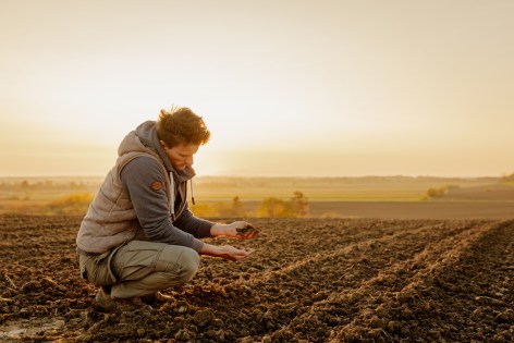 compost